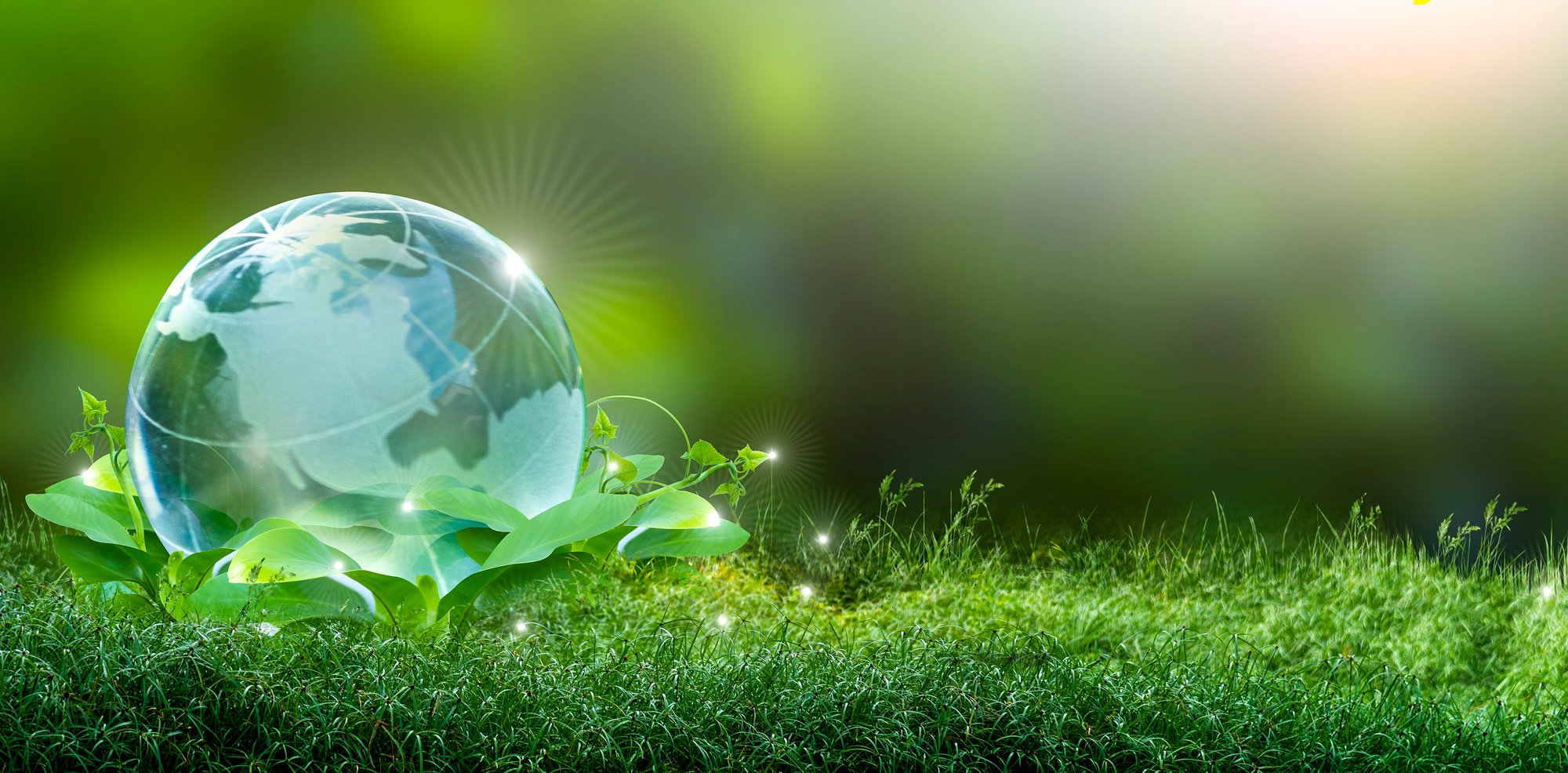 iStock-1194898132